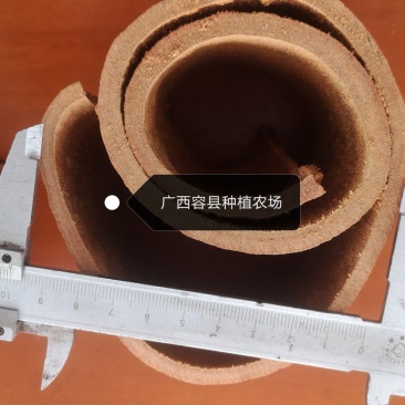 广西容县种植农场特大特厚去皮肉桂段一手货源价格实惠
