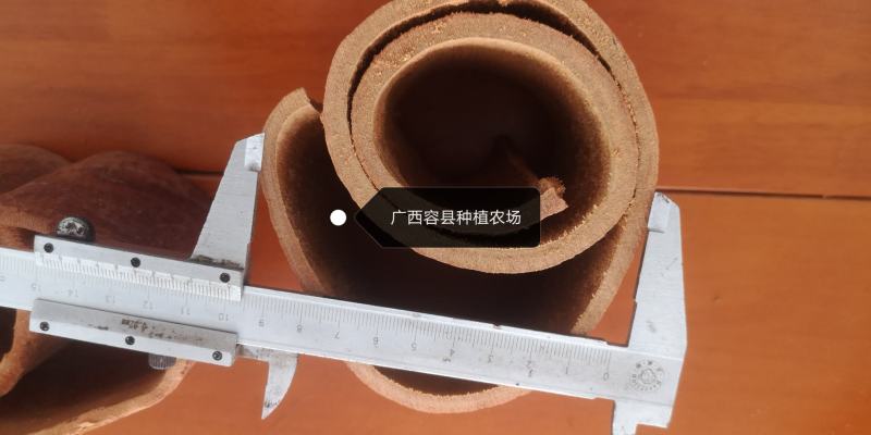广西容县种植农场特大特厚去皮肉桂段一手货源价格实惠