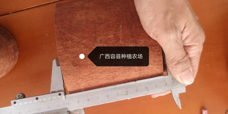广西容县种植农场特大特厚去皮肉桂段一手货源价格实惠