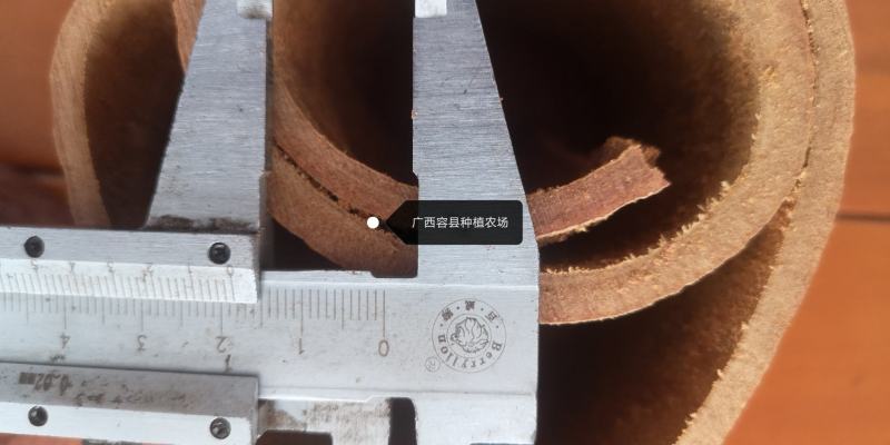 广西容县种植农场特大特厚去皮肉桂段一手货源价格实惠