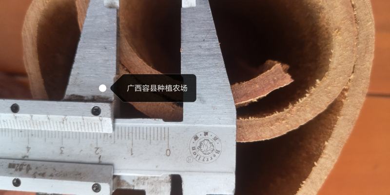 广西容县种植农场特大特厚去皮肉桂段一手货源价格实惠