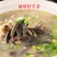 厂家销新鲜冷冻羊杂羊杂碎10斤/20斤可选商用