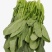 菠菜量大从优商超直供欢迎咨询品质优良