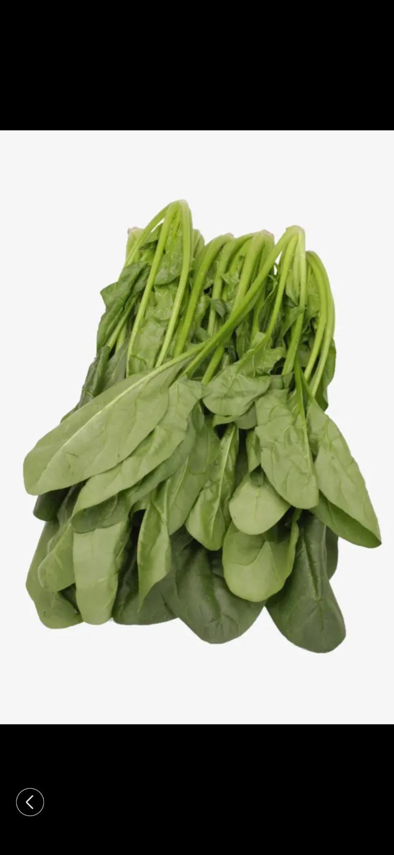 菠菜量大从优商超直供欢迎咨询品质优良