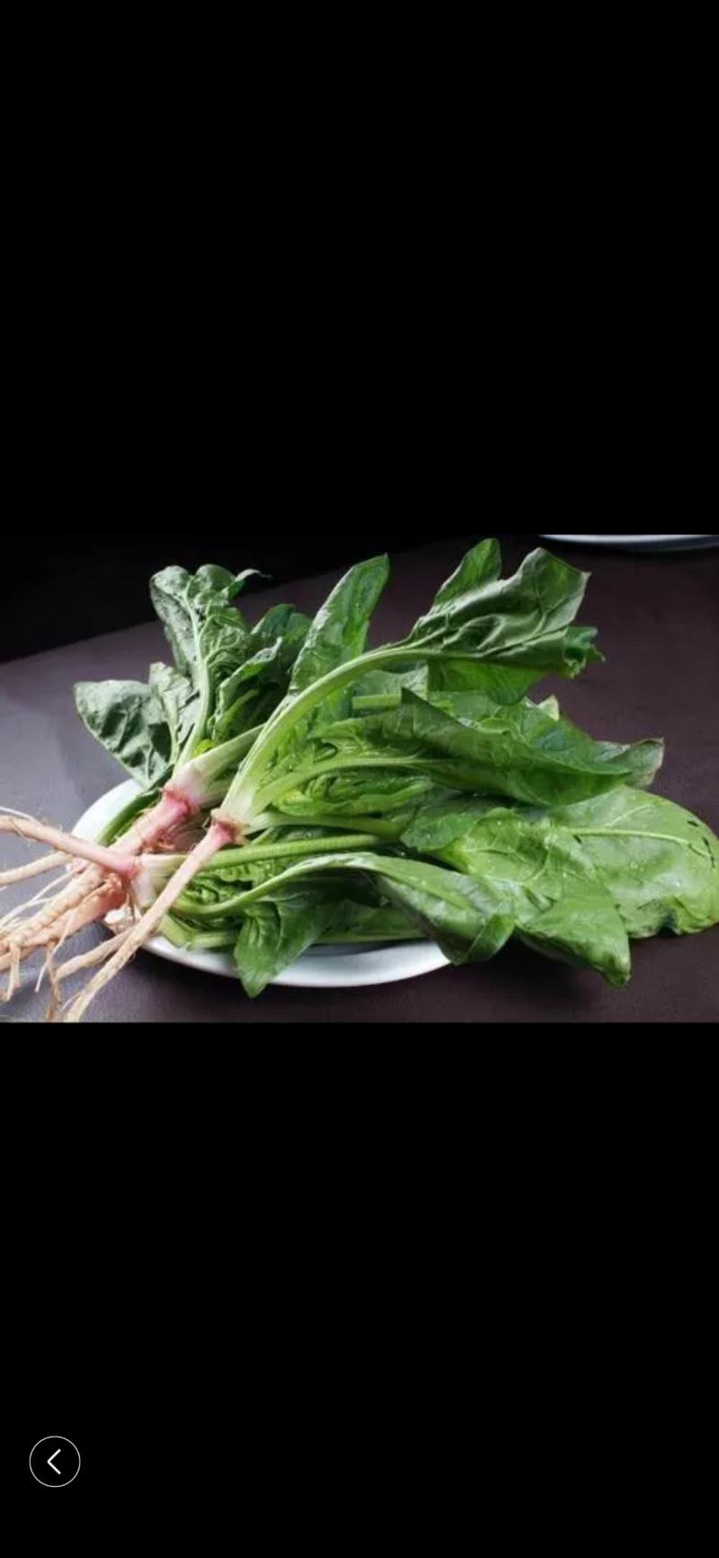 菠菜量大从优商超直供欢迎咨询品质优良