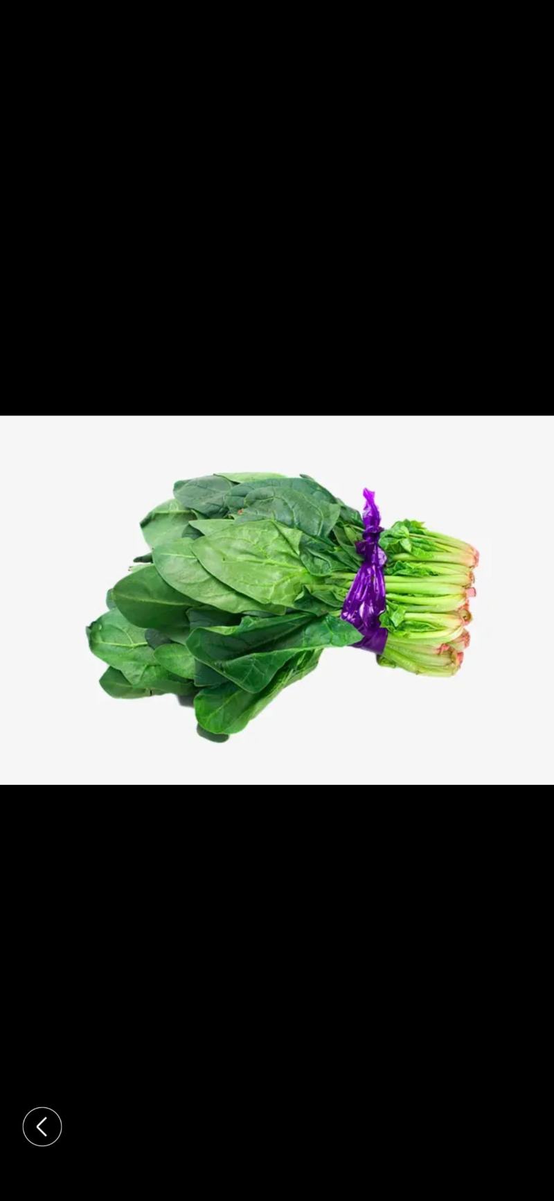 菠菜量大从优商超直供欢迎咨询品质优良