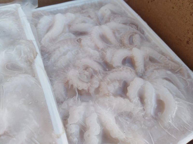 鲜活八爪鱼批发鲜活章鱼新鲜冷冻海鲜水产深海捕捞