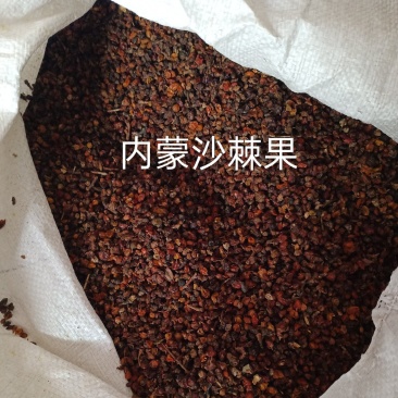 沙棘，沙棘果中药材沙棘果干内蒙古野生富油性正品正宗质量保