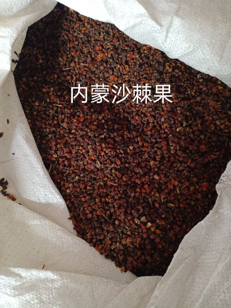 沙棘，沙棘果中药材沙棘果干内蒙古野生富油性正品正宗质量保