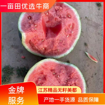 【荐】江苏东台美都头茬瓜无籽美都纯甜品质保障