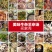 厂家原味羊杂碎羊肉食火锅食材羊杂商用批发包邮