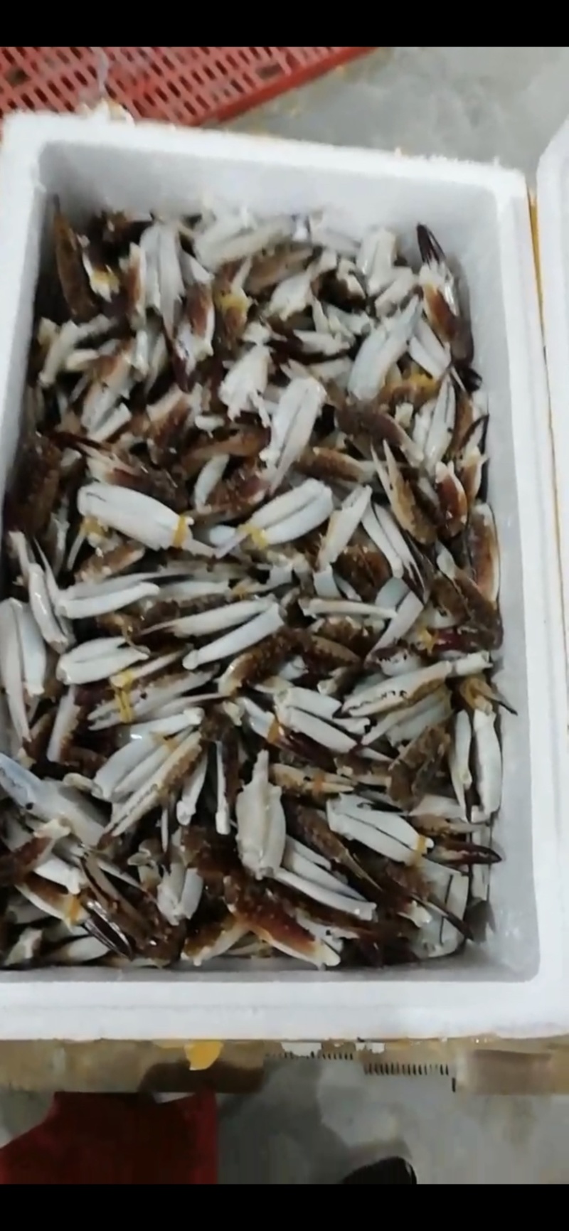 蟹钳