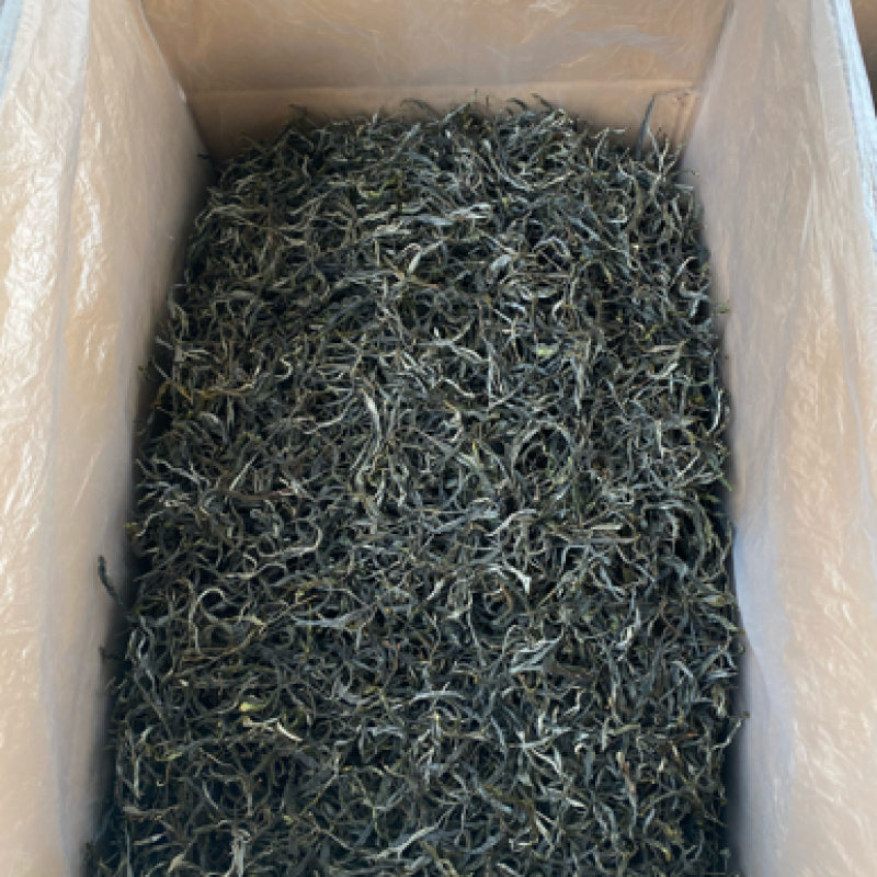 古树普洱茶