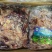 厂家直发冷冻新鲜羊杂20斤商用饭店食材整箱批发包邮