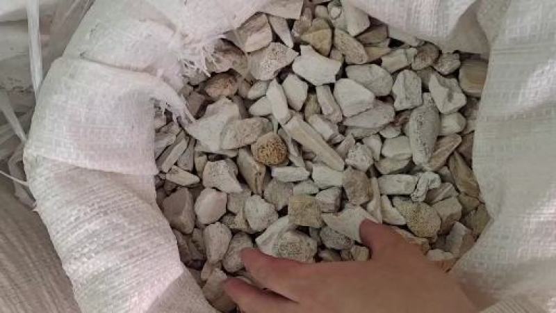 龙骨段龙骨龙骨块青龙骨白龙骨龙骨关节块龙骨腿块中药