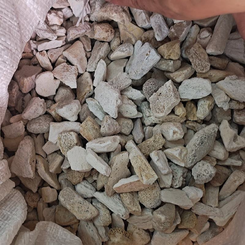 龙骨段龙骨龙骨块青龙骨白龙骨龙骨关节块龙骨腿块中药