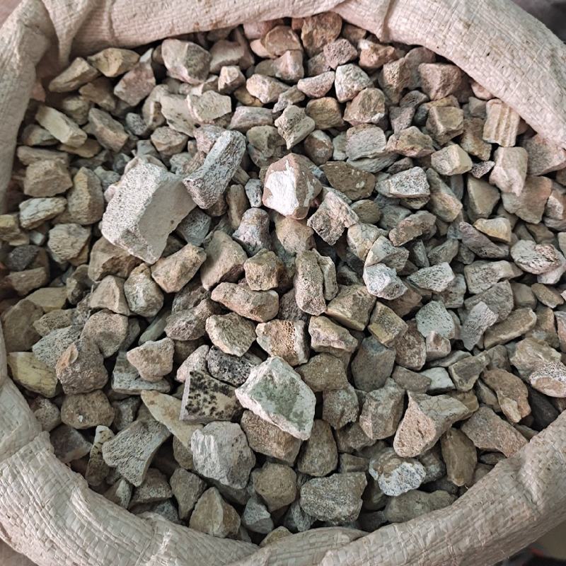 龙骨段龙骨龙骨块青龙骨白龙骨龙骨关节块龙骨腿块中药
