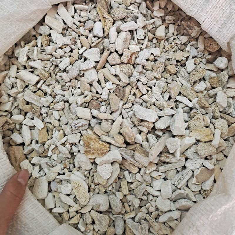 龙骨段龙骨龙骨块青龙骨白龙骨龙骨关节块龙骨腿块中药
