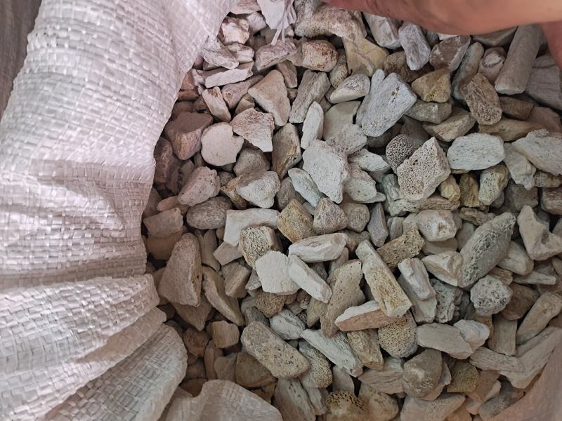 龙骨段龙骨龙骨块青龙骨白龙骨龙骨关节块龙骨腿块中药