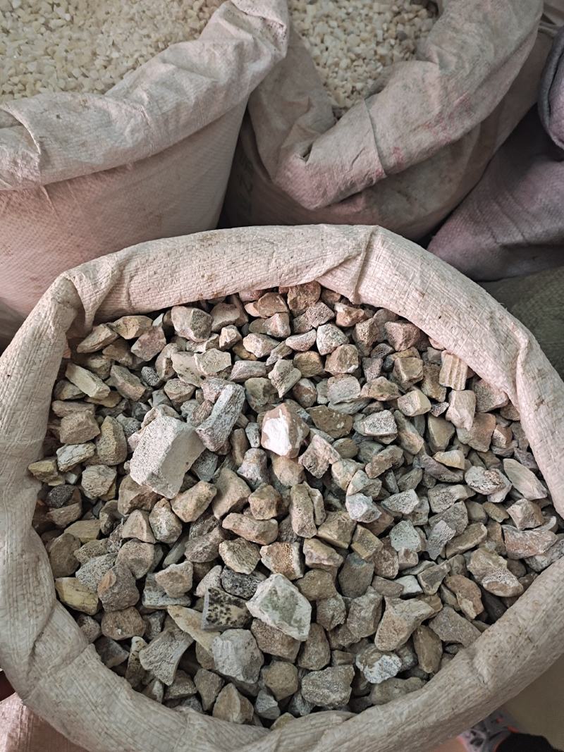 龙骨段龙骨龙骨块青龙骨白龙骨龙骨关节块龙骨腿块中药