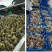 鲜肉粽蛋黄肉粽嘉兴风味粽子豆沙蜜枣甜粽100克*2只/袋