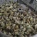 鲜肉粽蛋黄肉粽嘉兴风味粽子豆沙蜜枣甜粽100克*2只/袋
