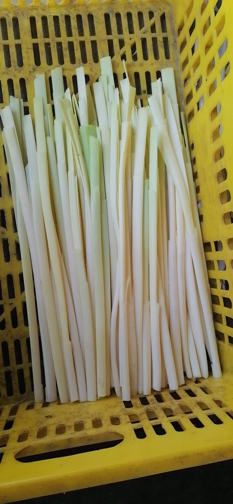 四季供应新鲜蒲菜，毛菜，净菜，1斤2斤3斤真空包装的精品