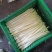 四季供应新鲜蒲菜，毛菜，净菜，1斤2斤3斤真空包装的精品