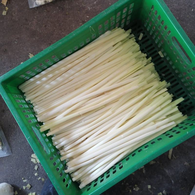 四季供应新鲜蒲菜，毛菜，净菜，1斤2斤3斤真空包装的精品
