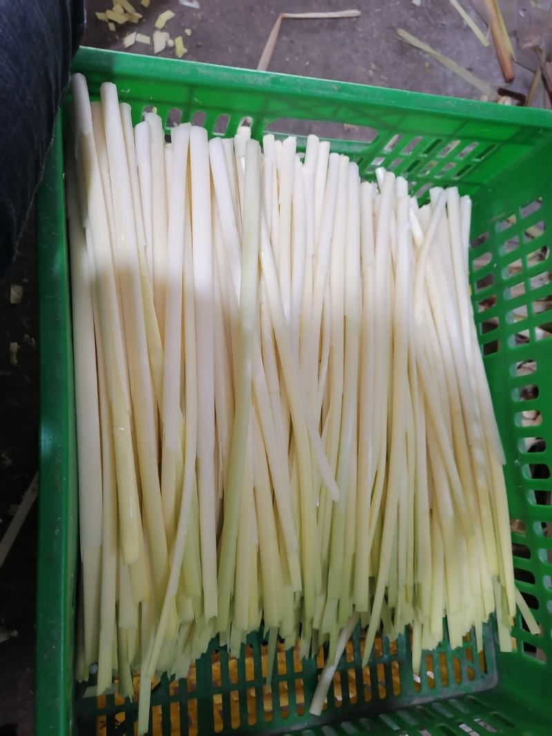 四季供应新鲜蒲菜，毛菜，净菜，1斤2斤3斤真空包装的精品