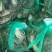 【网红六月黄蟹】自助餐专用，江苏，大量供应，产地直发