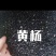 小叶黄杨瓜子黄杨树种子冬青苗大叶黄杨树苗庭院绿篱围墙篱笆