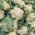 大量供应菜花，价格低大量供应蔬菜黄瓜土豆