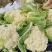 大量供应菜花，价格低大量供应蔬菜黄瓜土豆