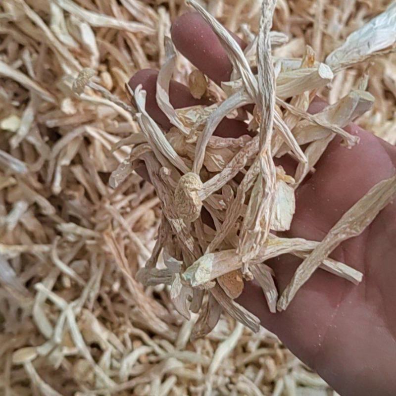 海鲜菇白玉菇蟹味菇原干产地批发大量原干净重