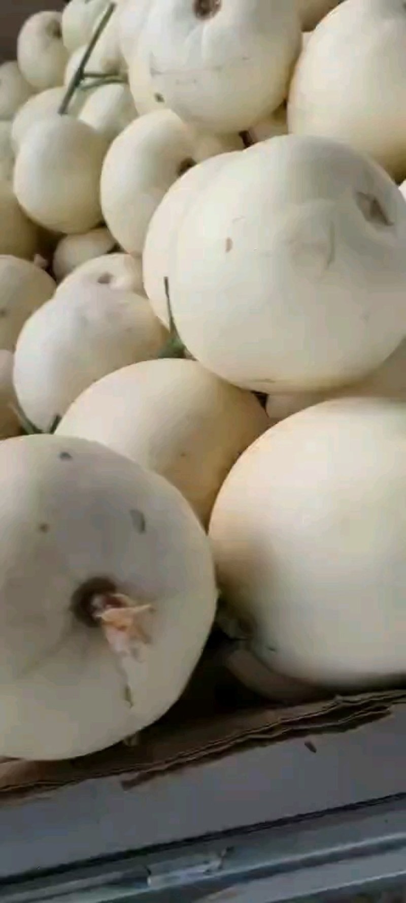 精品小甜瓜大量上市质量好，价格低，货源充足，产地直销代发