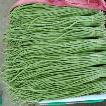 桂林油绿油白长豆角豇豆长豇豆