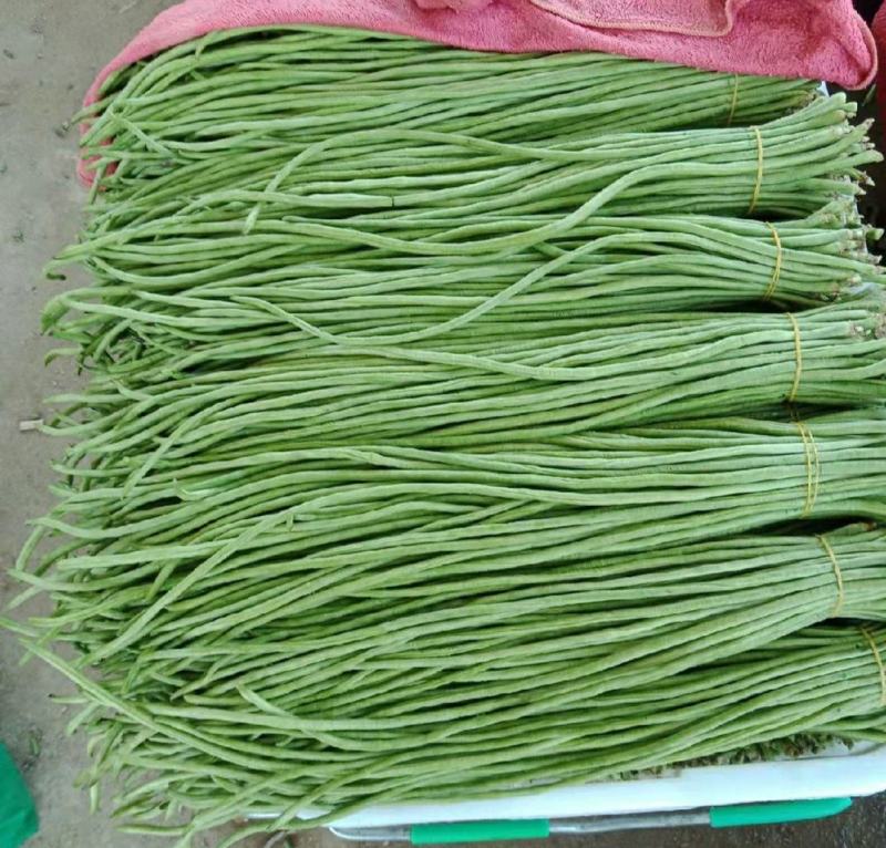 桂林油绿油白长豆角豇豆长豇豆