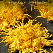 菊花金丝皇菊一朵一杯茶浓郁清香规格齐全地道中药材