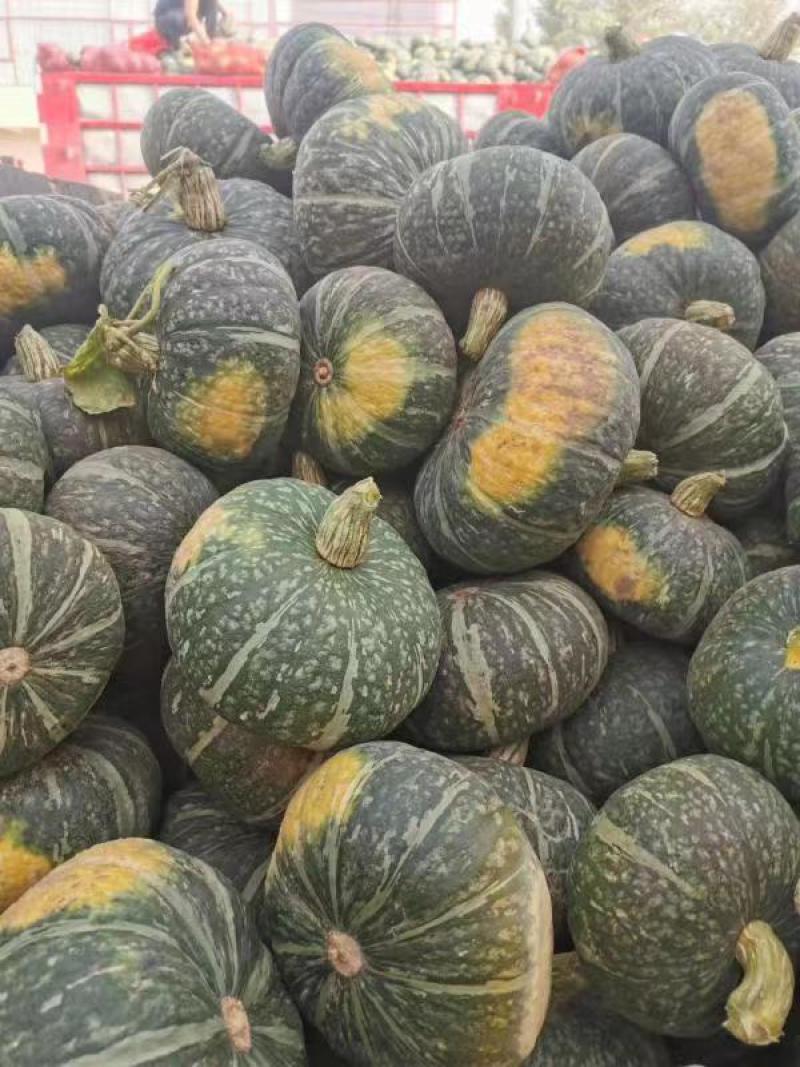 南宁贝贝南瓜密本大量上市