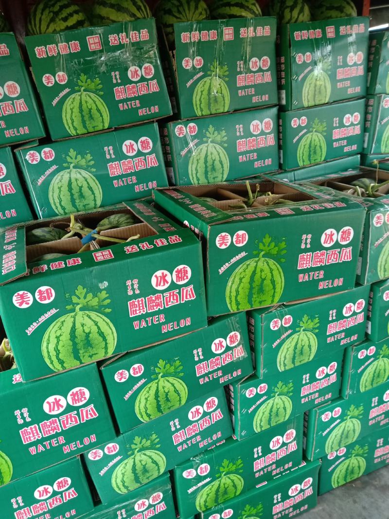 山西忻州忻府区大棚美都，大吨供应糖度13+