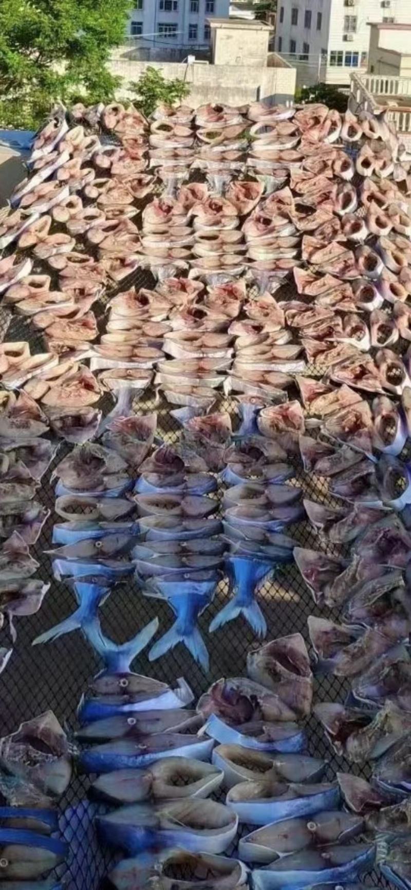 【推荐】广西北部湾天然鲜晒金昌鱼干，品质保证，诚信经营