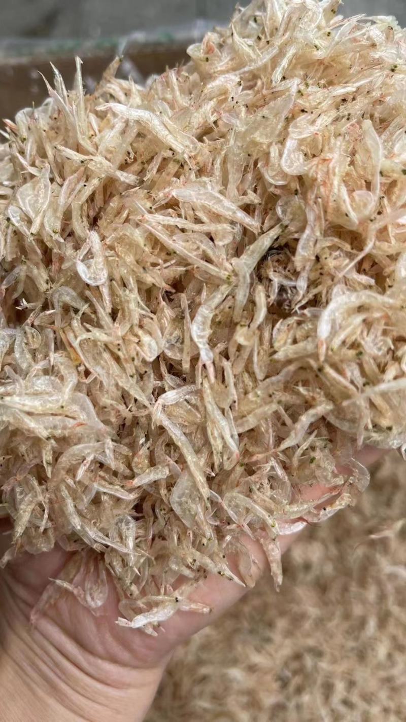 【推荐】广西北部湾淡干虾皮干净，品质保证，诚信经营