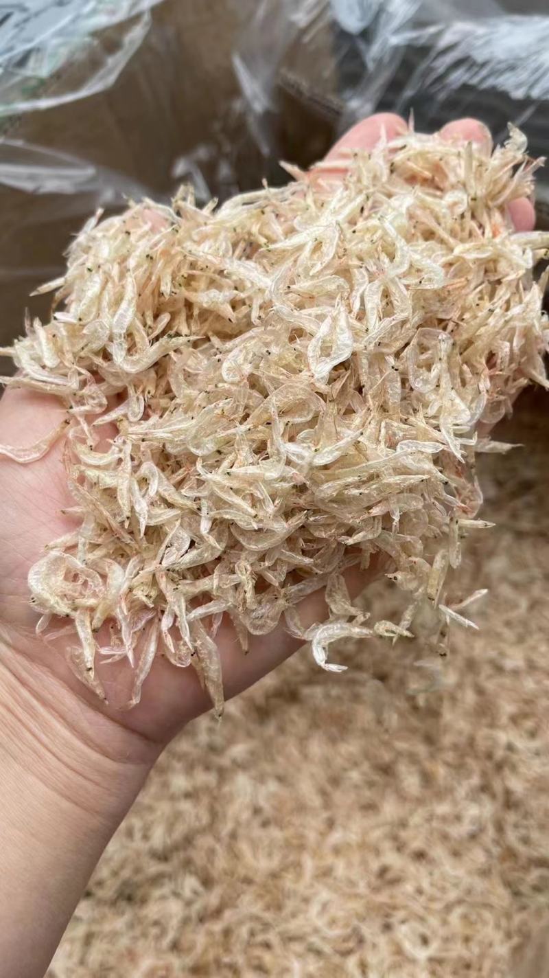 【推荐】广西北部湾淡干虾皮干净，品质保证，诚信经营