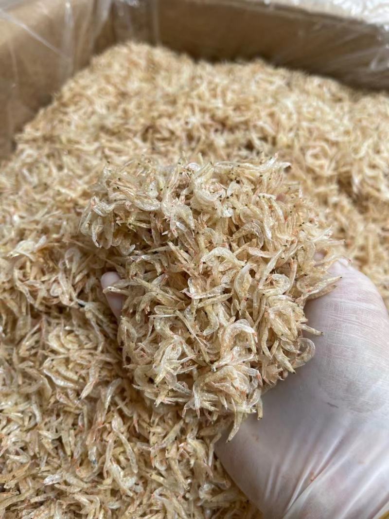 【推荐】广西北部湾淡干虾皮干净，品质保证，诚信经营