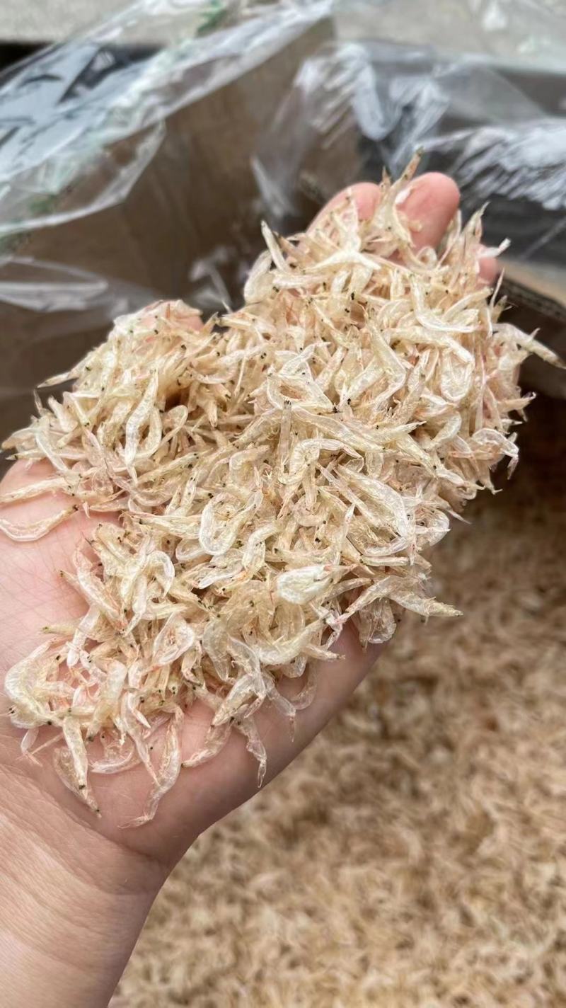 【推荐】广西北部湾淡干虾皮干净，品质保证，诚信经营
