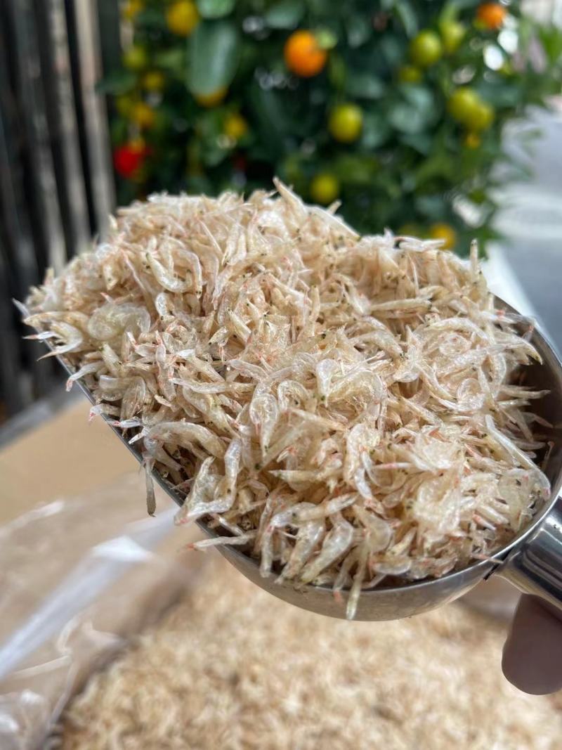 【推荐】广西北部湾淡干虾皮干净，品质保证，诚信经营