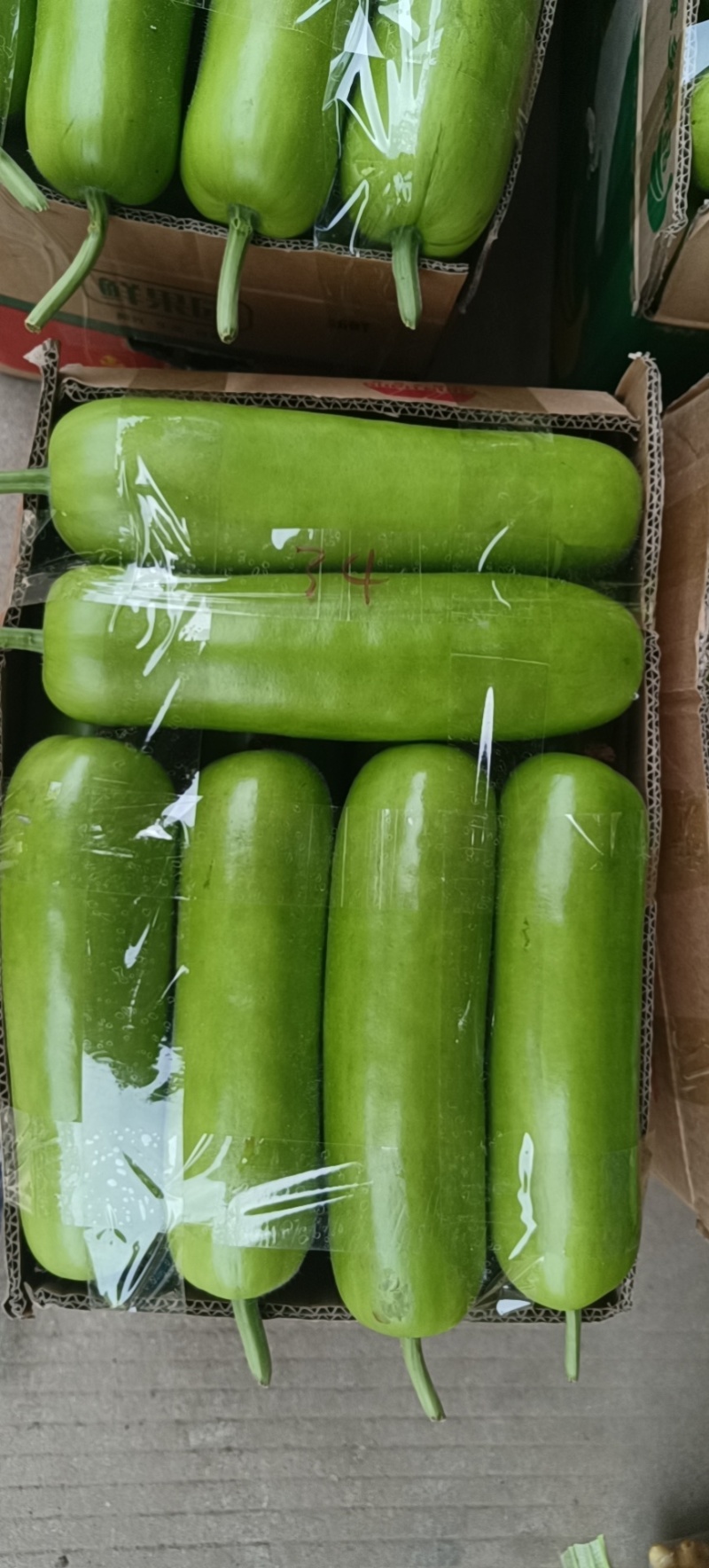精品短蒲，瓠瓜大量有货，货源充足，地头的价格，诚信合作。