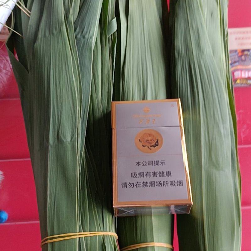 粽叶河北粽叶雄安新区白洋淀芦苇叶天然无公害