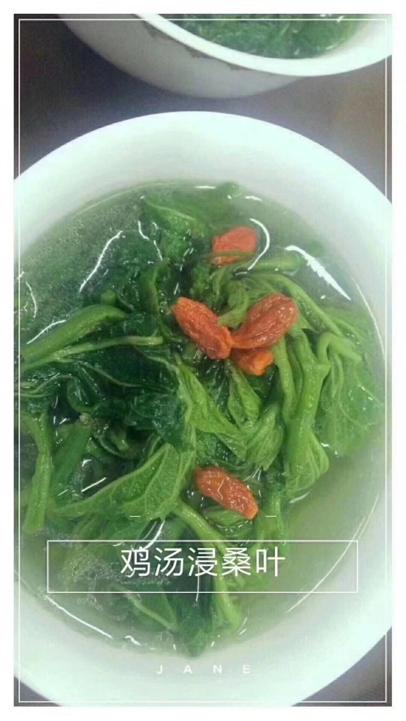 嫩桑叶新品酒楼配送厂家发货批发